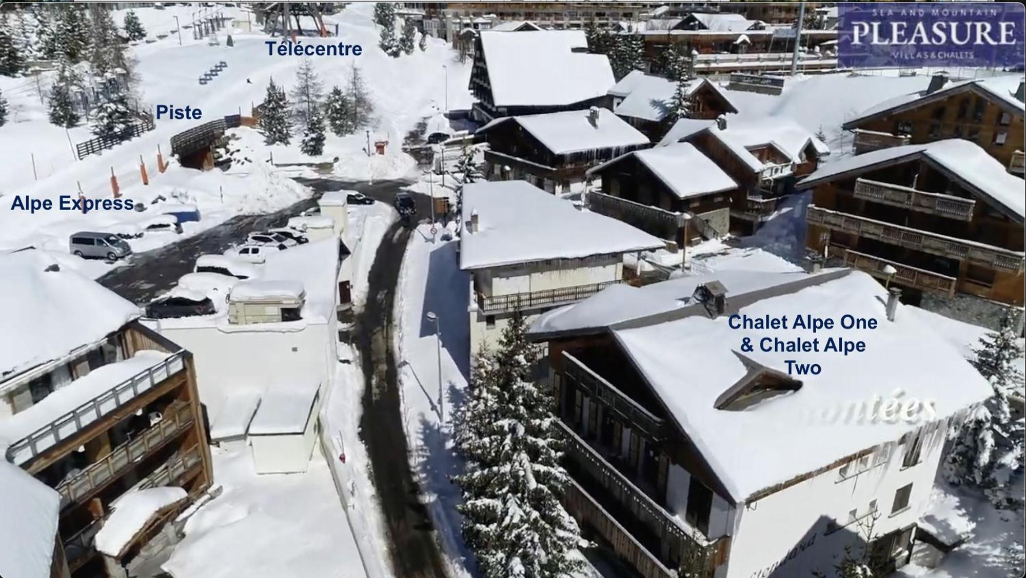 Chalet Alpe D'Huez 1850-Sea And Mountain Pleasure Avec 2 Appartements- 1 Appartement 3 Chambres 8 Couchages - 3 Salles D'Eau Et 1 Appartement 5 Chambres 12 Couchages 5 Salles D'Eau - Jacuzzi Et Sauna -Pieds Des Pistes Et Centre エクステリア 写真